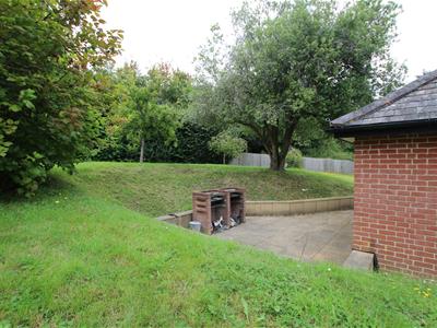 Picture 16